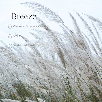 Auton diffuusori - Breeze