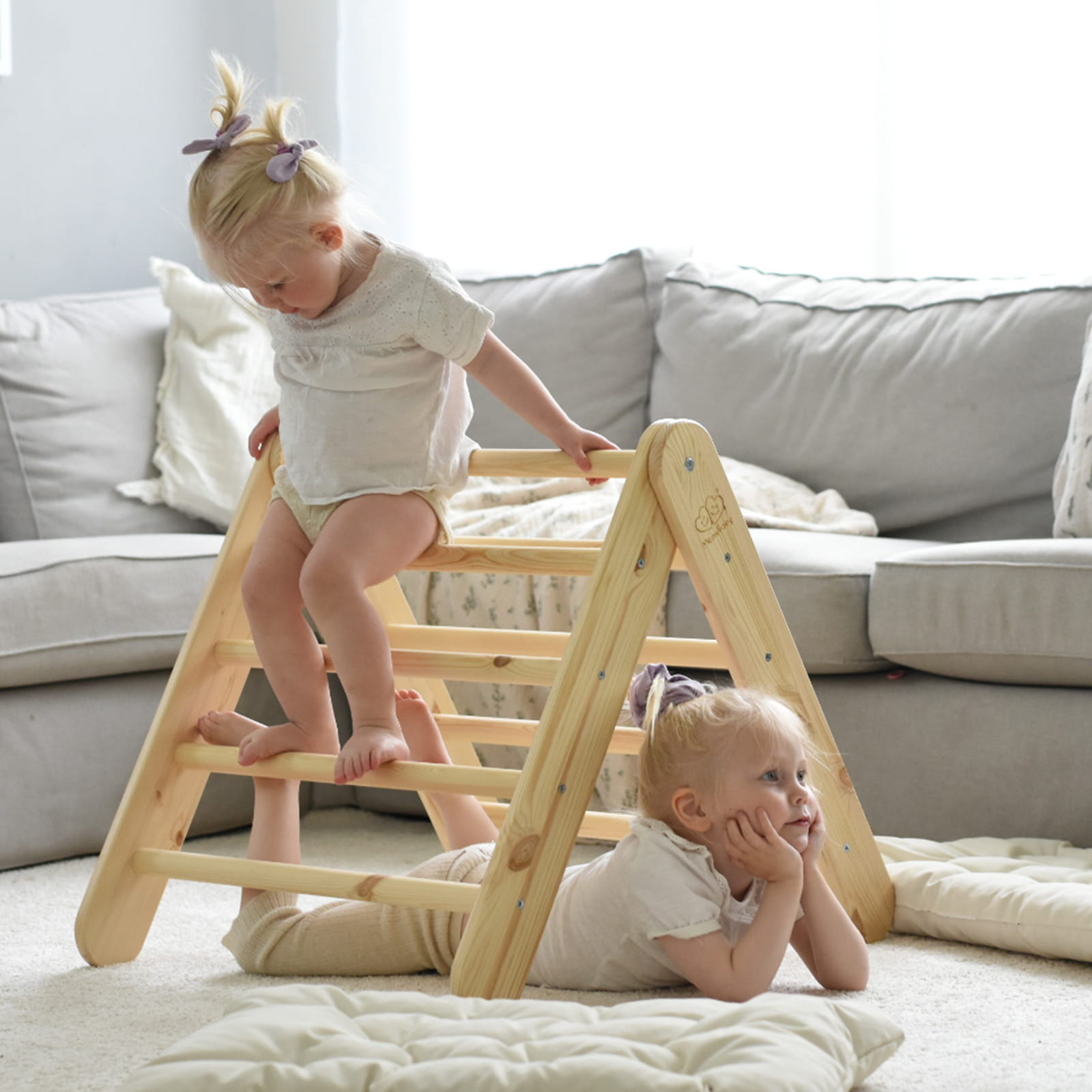 Ladder with a Slide-Climbing Wall - Natural Wood