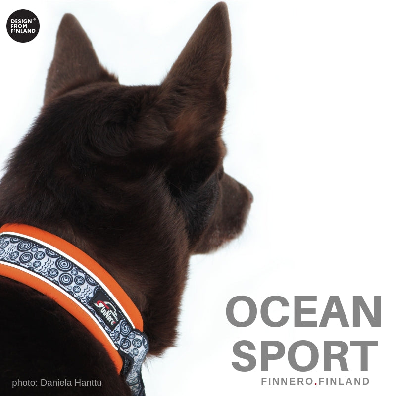 FINNERO OCEAN SPORT Panta koiralle - 3 eri väriä