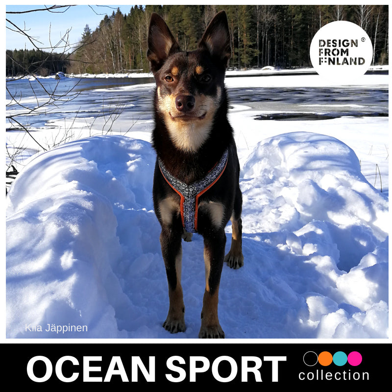 FINNERO OCEAN SPORT Y-valjas koiralle - 4 eri väriä