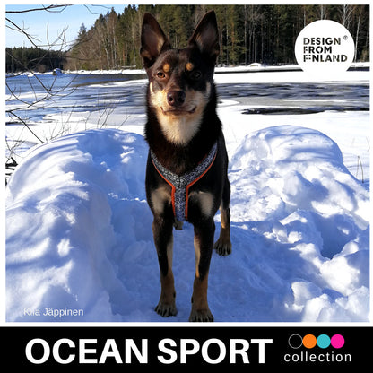 FINNERO OCEAN SPORT Y-valjas koiralle - 4 eri väriä