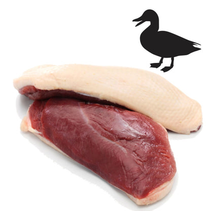 ERA Grain-Free Adult - Fresh Salmon & Duck