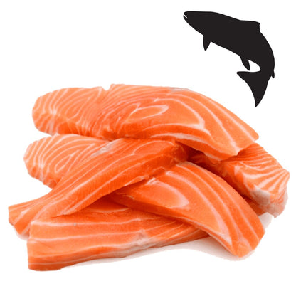 ERA Grain-Free Sterilised Sensitive Adult – Fresh Salmon & Turkey