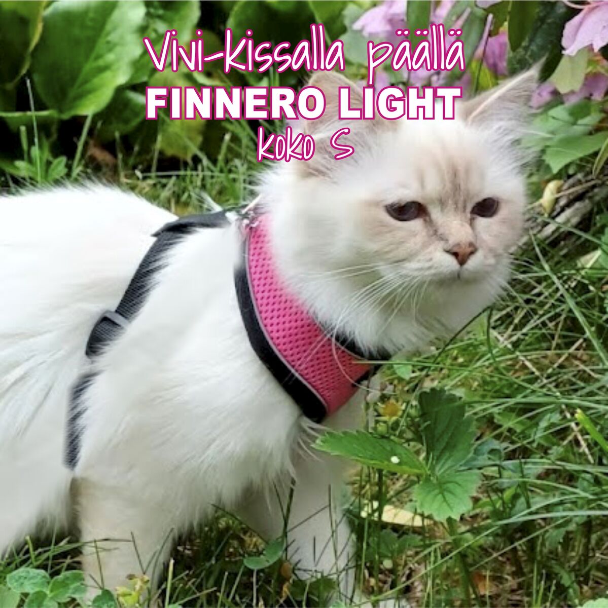 FINNERO LIGHT Heijastava Valjas - Pinkki